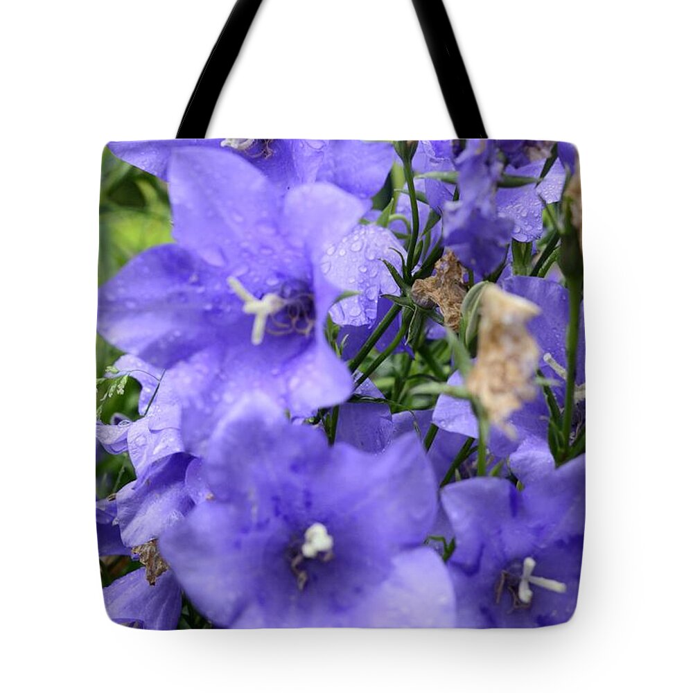Flower Tote Bag featuring the photograph A Touch of Lavender by Richard Henne