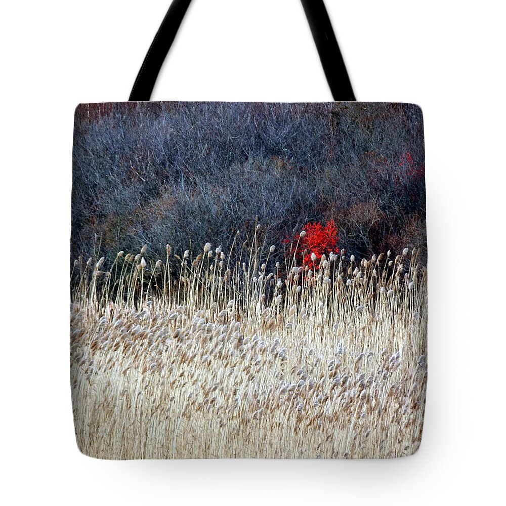 Landscape Tote Bag featuring the photograph A Touch Of Red by Marcia Lee Jones