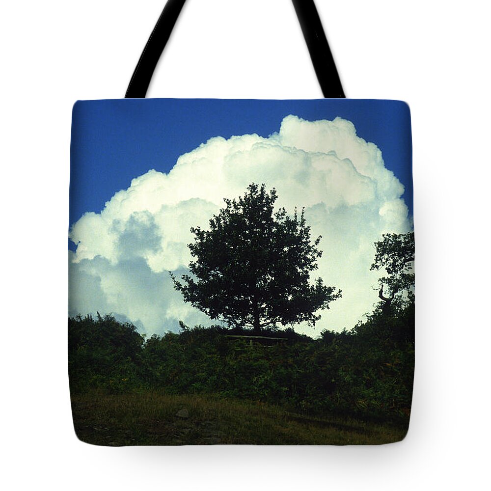 Tree Tote Bag featuring the photograph A Tree in a Cloud by Gordon James