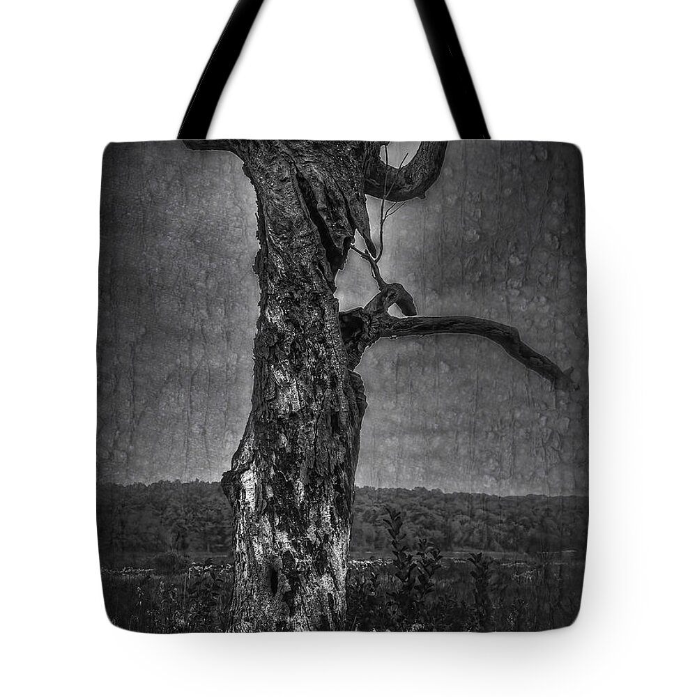 Rustic Tree Tote Bag featuring the photograph A Tree With A Face by Thomas Young