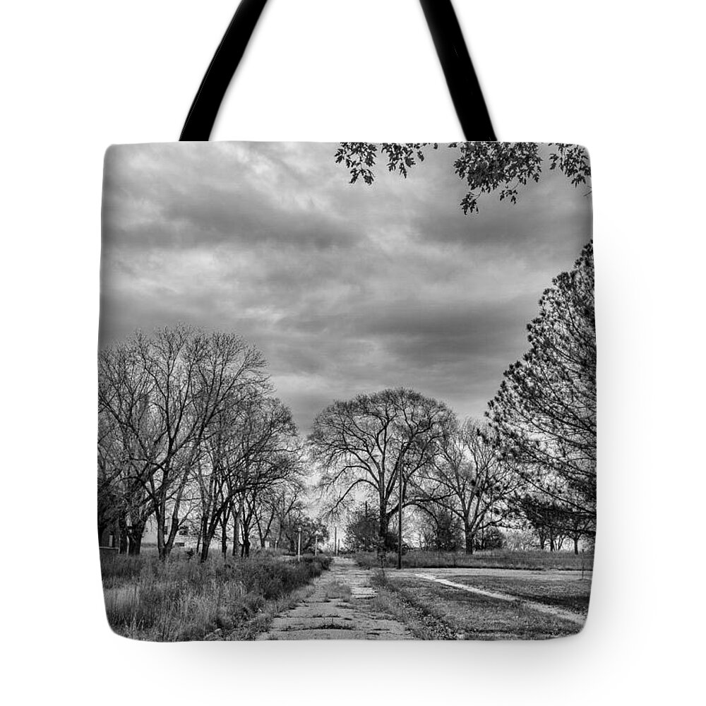 Landscape Tote Bag featuring the photograph A Trip down the Road to Nowhere by Steven Reed