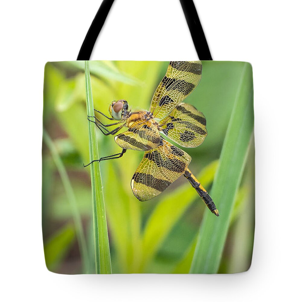 Dragonfly Tote Bag featuring the photograph A View from a Prairie Window by Jim Zablotny
