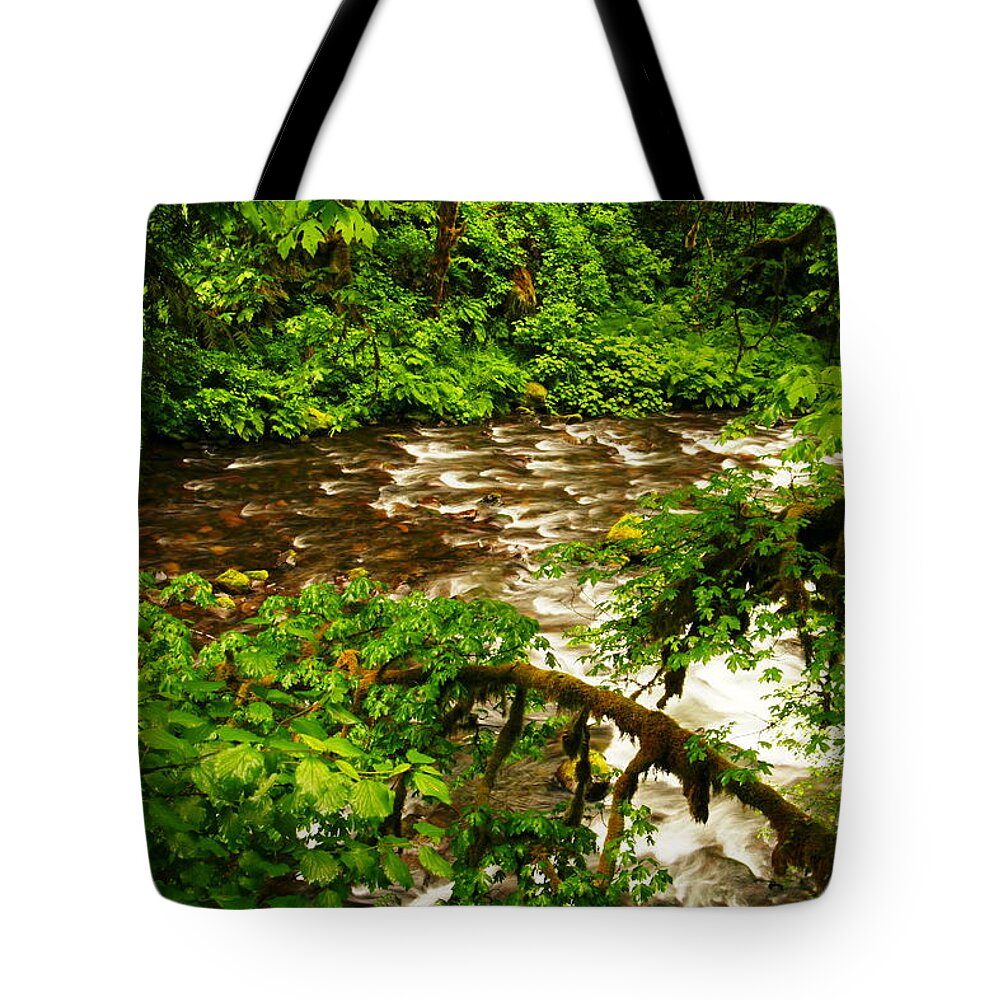 Rivers Tote Bag featuring the photograph A View Of Eagle Creek by Jeff Swan