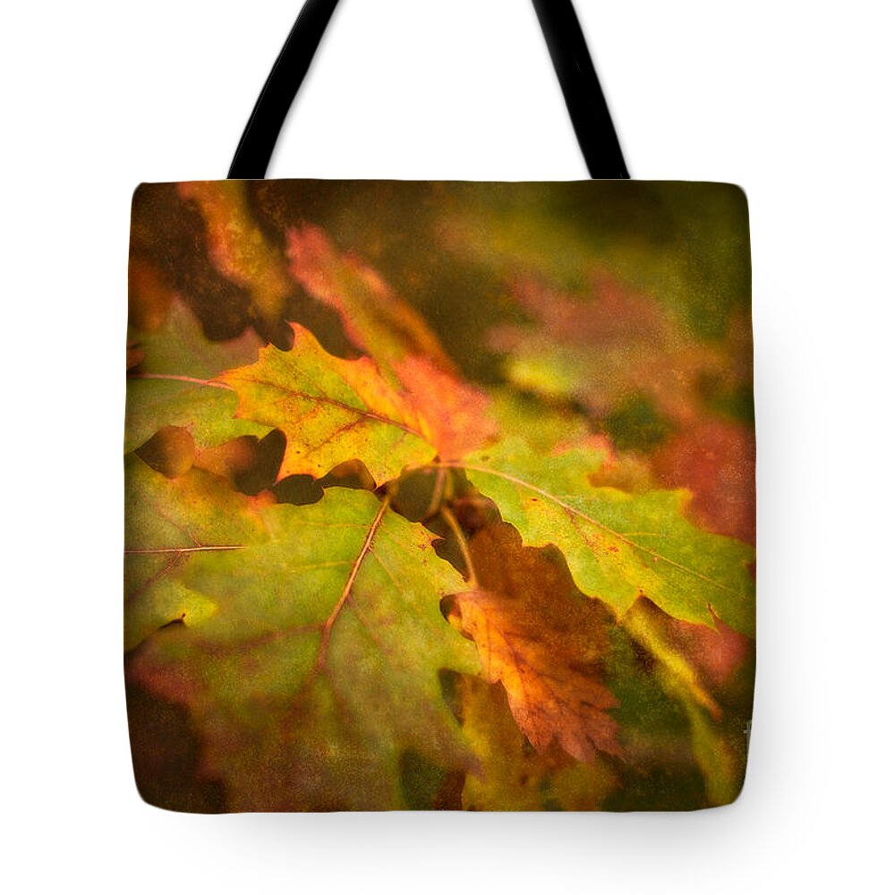 Abstract Tote Bag featuring the photograph A Vision of Fall by Venetta Archer