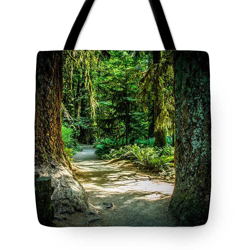 Old Growth Forest Tote Bag featuring the photograph Pathway Cathedral Grove by Roxy Hurtubise
