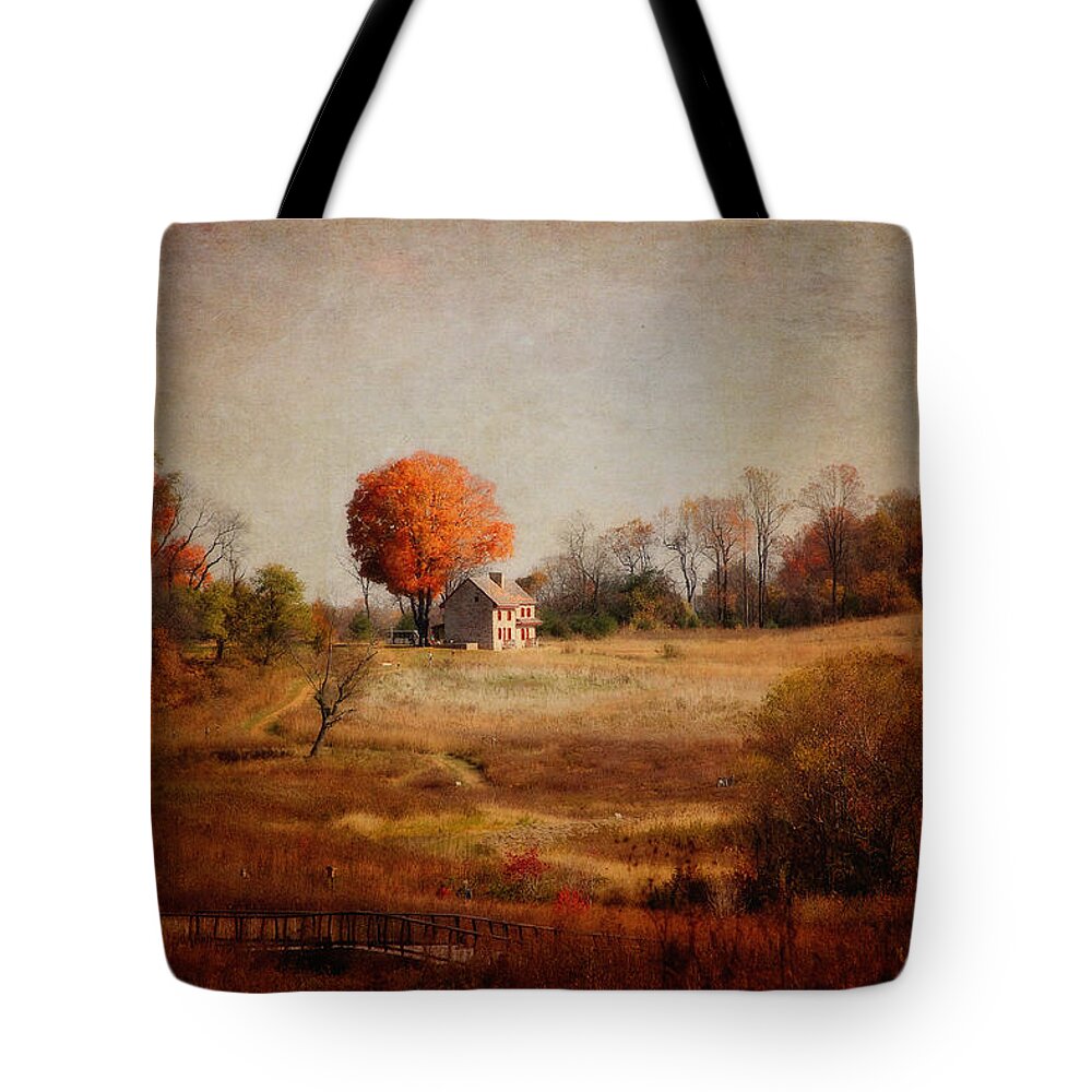 Landscape Tote Bag featuring the photograph A Walk in the Meadow with Texture by Trina Ansel