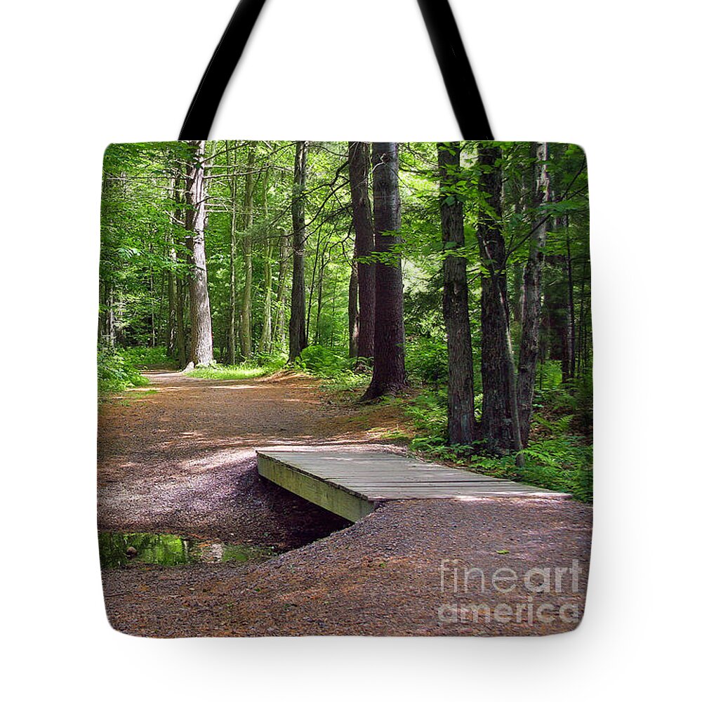 Creek Tote Bag featuring the photograph Into The Woods #1 by Geoff Crego