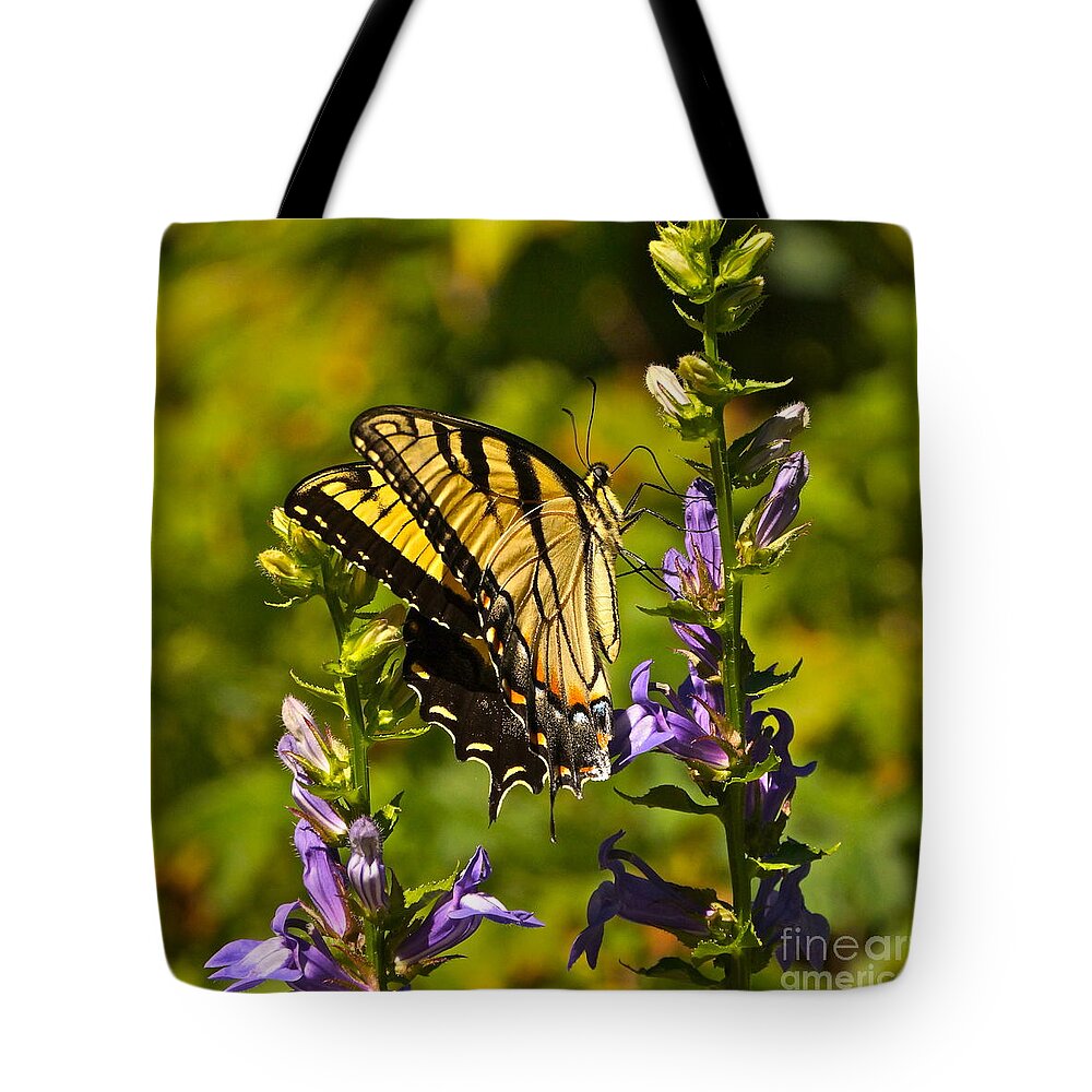 Colorful Butterfly And Purple Flowers Tote Bag featuring the photograph A Warm September Day in the Garden by Byron Varvarigos