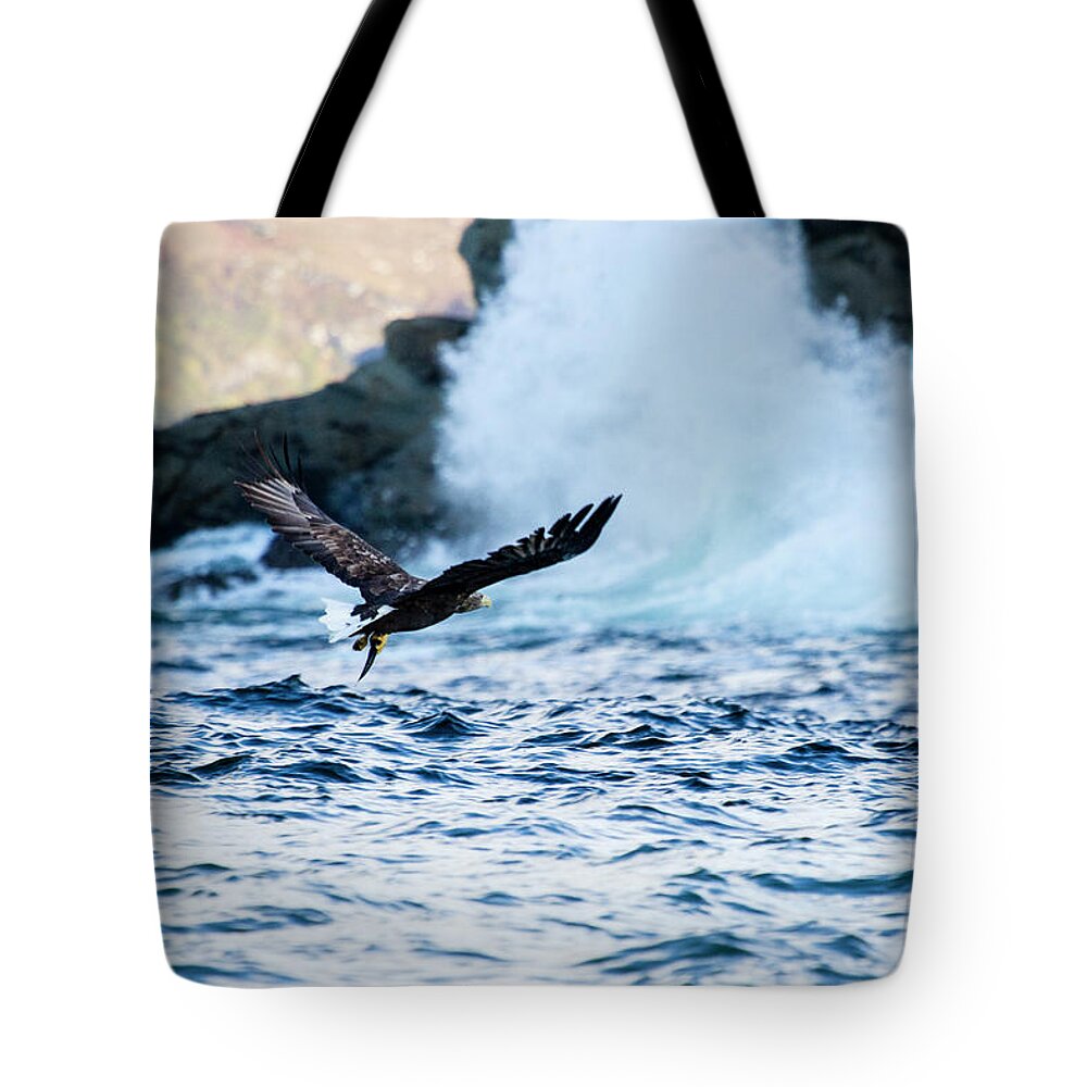 Flying Tote Bag featuring the photograph A White-tailed Eagle With Its Wings by Raffi Maghdessian