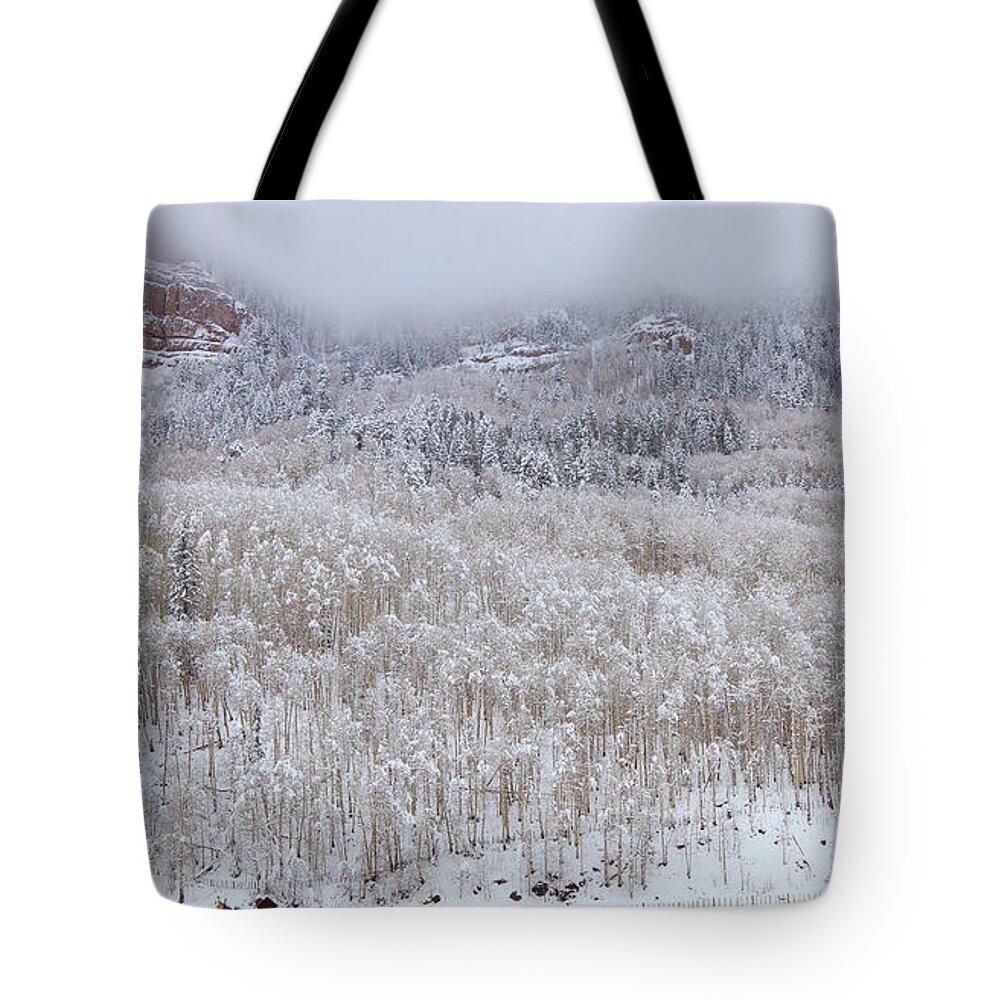  River Tote Bag featuring the photograph A Winter Cabin by Darren White