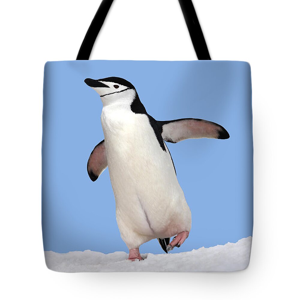 Ice Tote Bag featuring the photograph A Winter Walk by Ginny Barklow