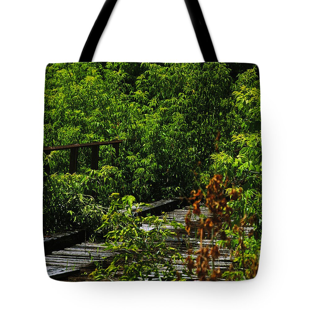 Rochester Tote Bag featuring the photograph Abandoned Railroad by William Norton