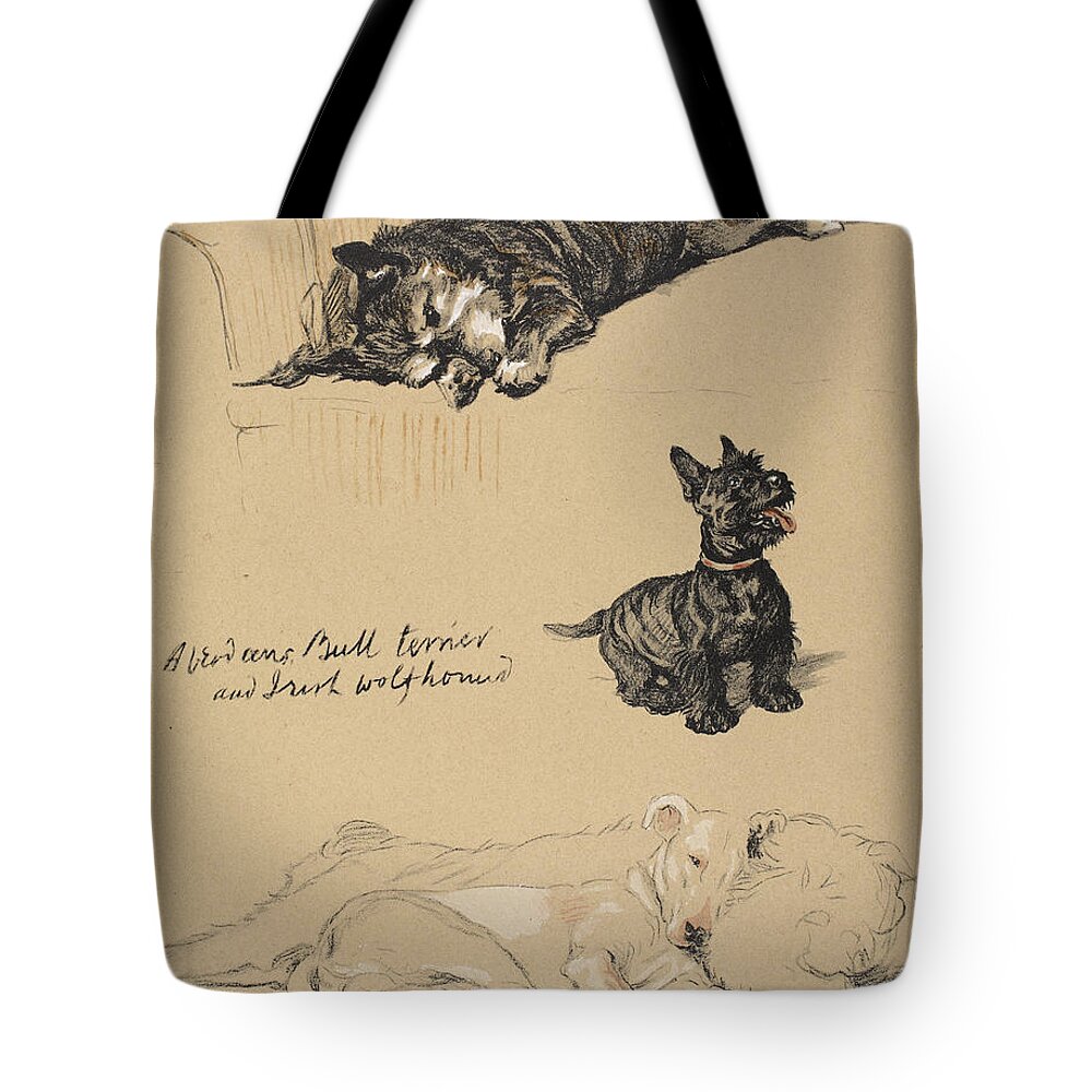 Dog Tote Bag featuring the drawing Aberdeens, Bull Terrier And Irish by Cecil Charles Windsor Aldin