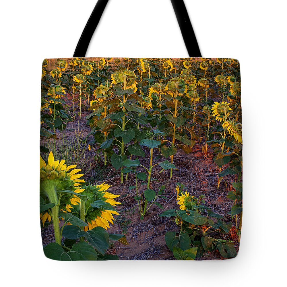Flowers Tote Bag featuring the photograph About Face by Jim Garrison