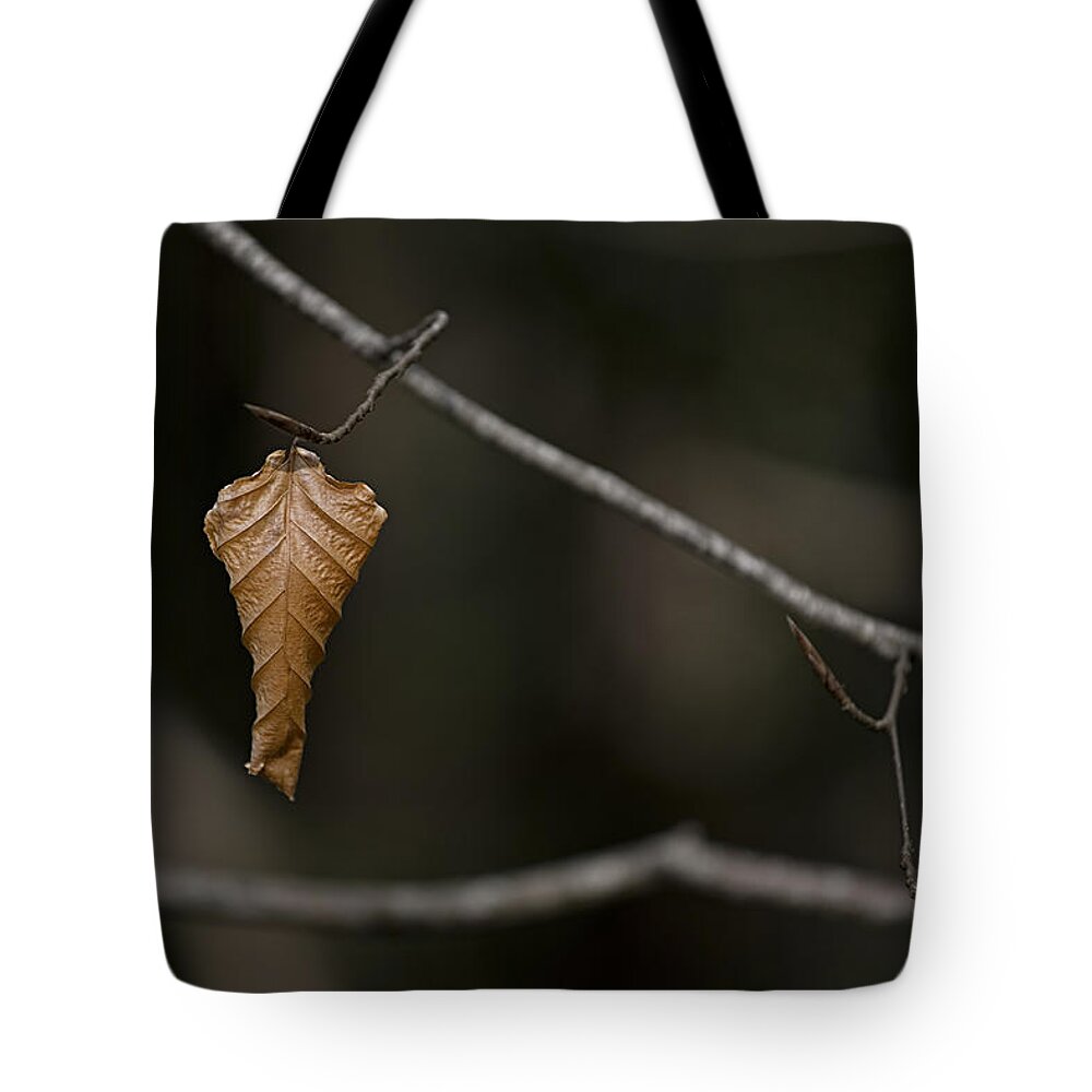Leaf Tote Bag featuring the photograph About to drop. by Nigel R Bell