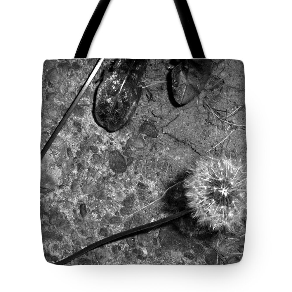 Abstract Tote Bag featuring the photograph Abstract Dandelion by Jaeda DeWalt