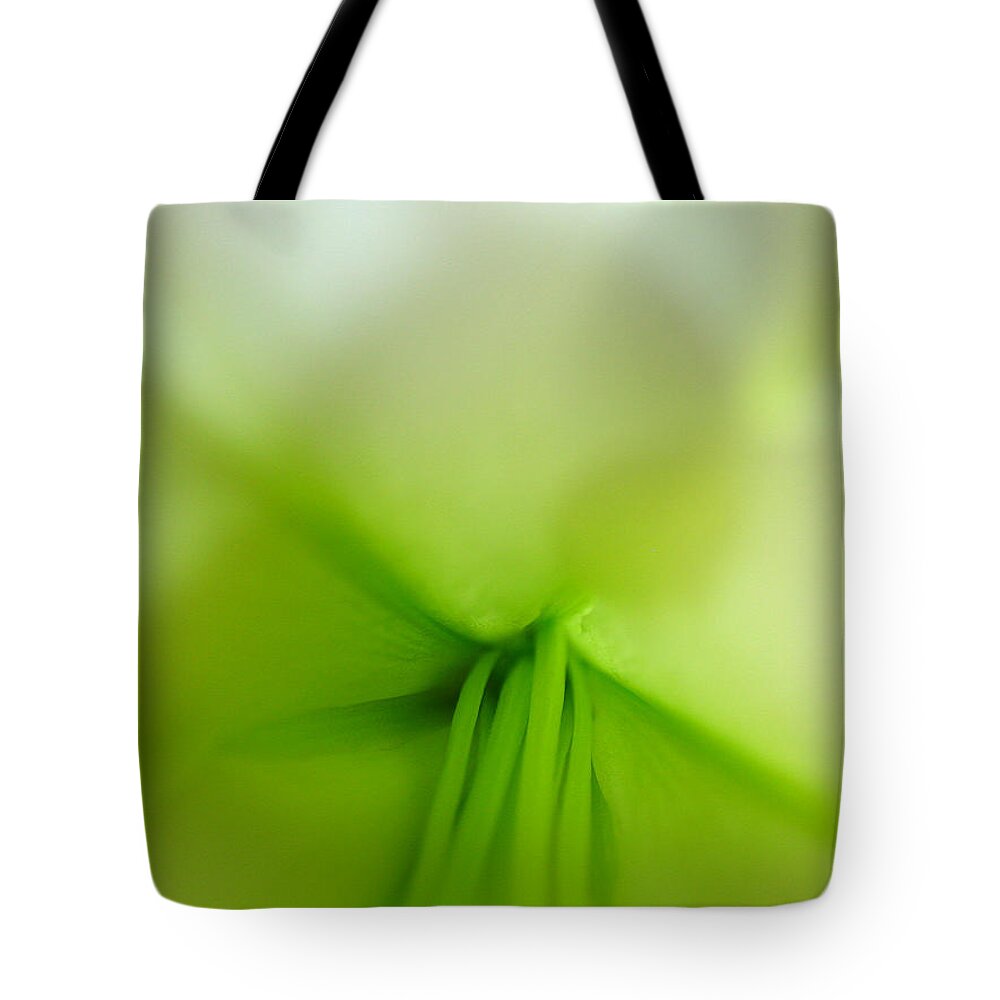 Artwork Tote Bag featuring the photograph Abstract Forms in Nature by Juergen Roth