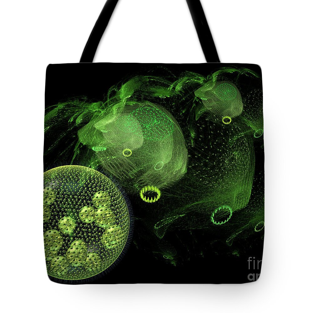 Abstract Tote Bag featuring the digital art Abstract pond creatures by Russell Kightley