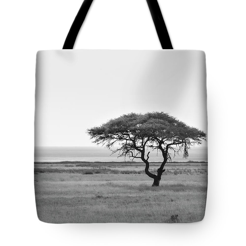Steppe Tote Bag featuring the photograph Acacia, In The Back The Etosha Pan by Moritz Wolf