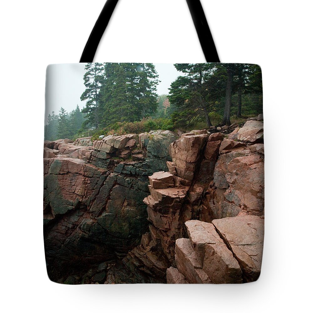 Landscape Tote Bag featuring the photograph Acadia Fog near Monument Cove 4336 by Brent L Ander