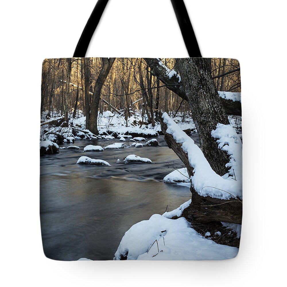 Andrew Pacheco Tote Bag featuring the photograph Adamsville Brook by Andrew Pacheco