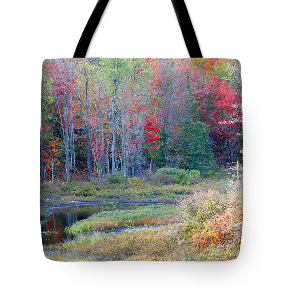 Trees Tote Bag featuring the photograph Adirondack Fall by Mariarosa Rockefeller