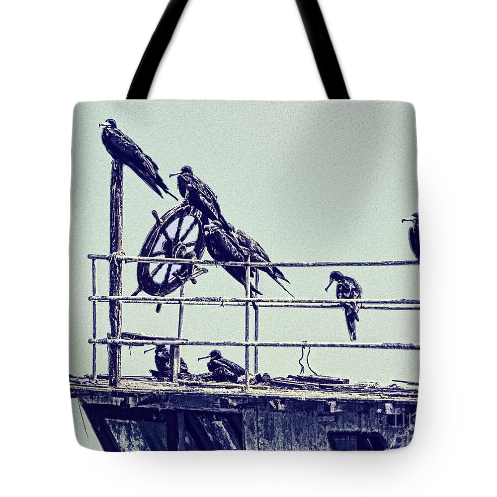 Julia Springer Tote Bag featuring the photograph Adrift by Julia Springer