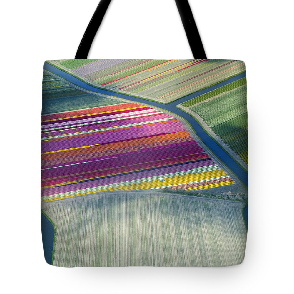 Curve Tote Bag featuring the photograph Aerial View Of Flower Fields In Spring by Frans Sellies