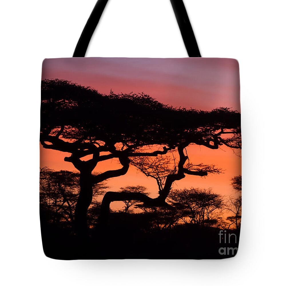 Tree Tote Bag featuring the photograph Classic Africa Sunrise by Chris Scroggins