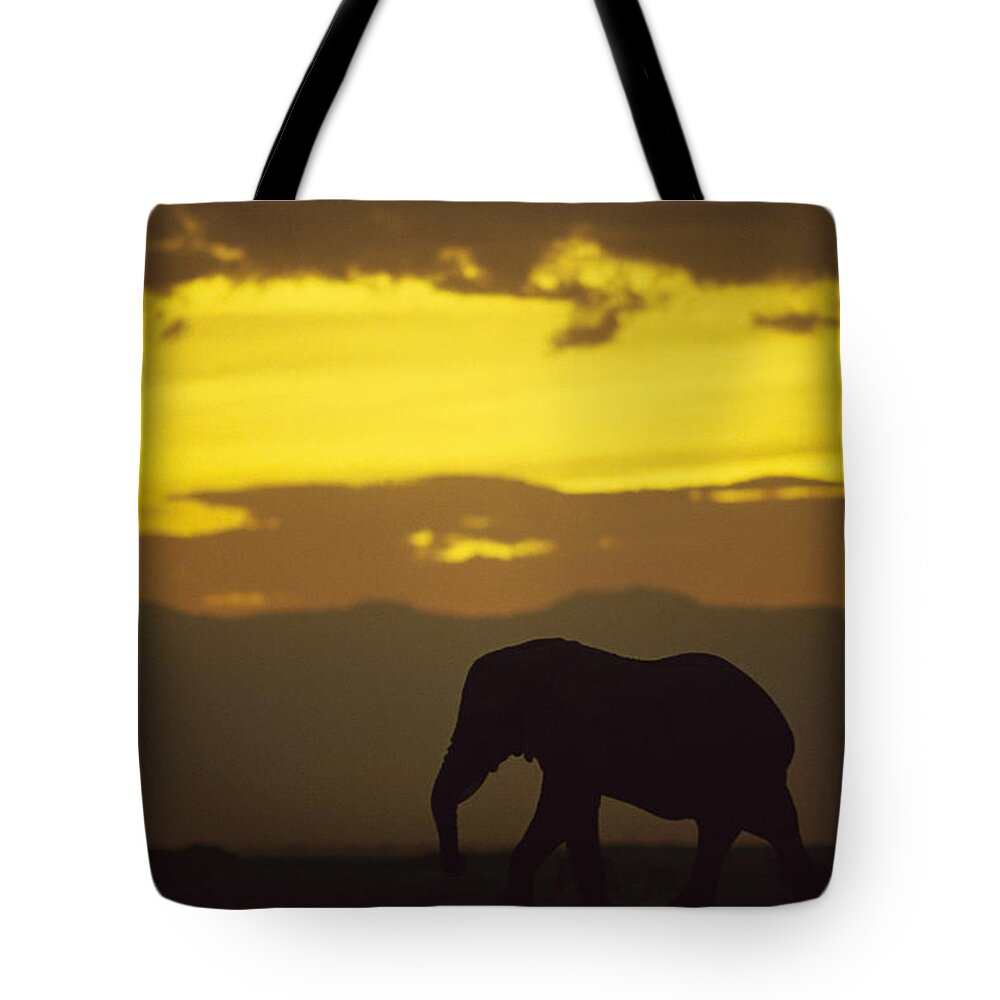 Feb0514 Tote Bag featuring the photograph African Elephant At Sunset Amboseli by Gerry Ellis