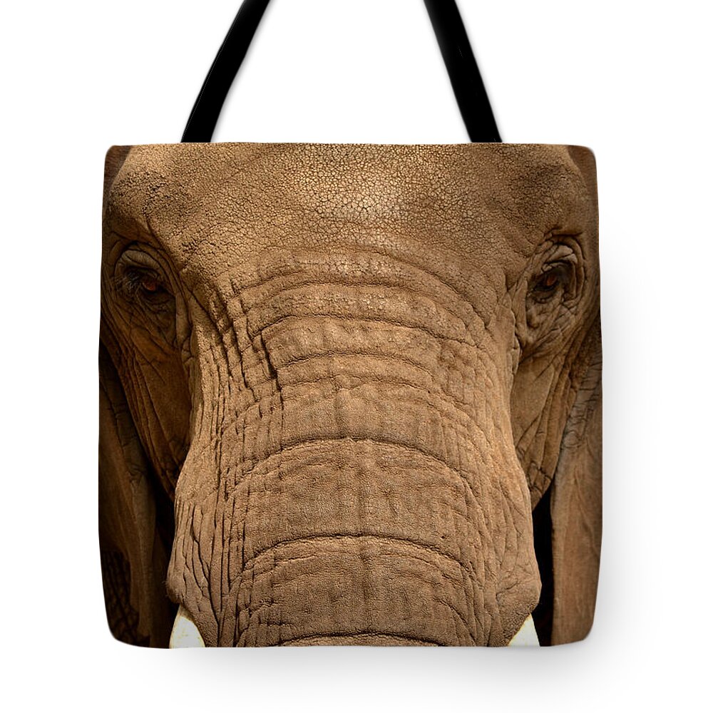 Elephant Tote Bag featuring the photograph African Elephant by Nadalyn Larsen