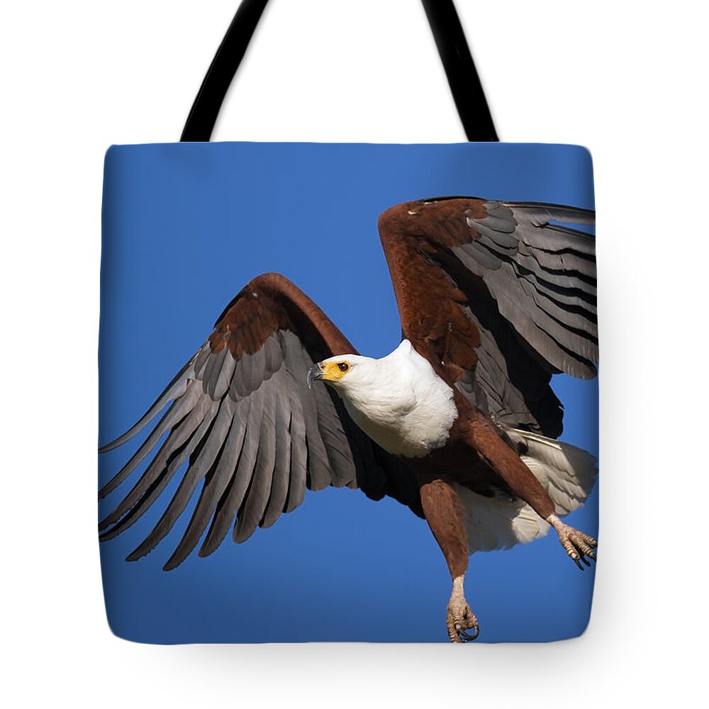 Eagle Tote Bag featuring the photograph African Fish Eagle by Johan Swanepoel