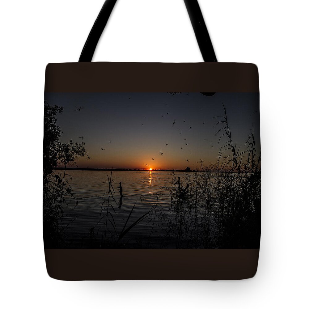 African Tote Bag featuring the photograph African Sunset by Suanne Forster