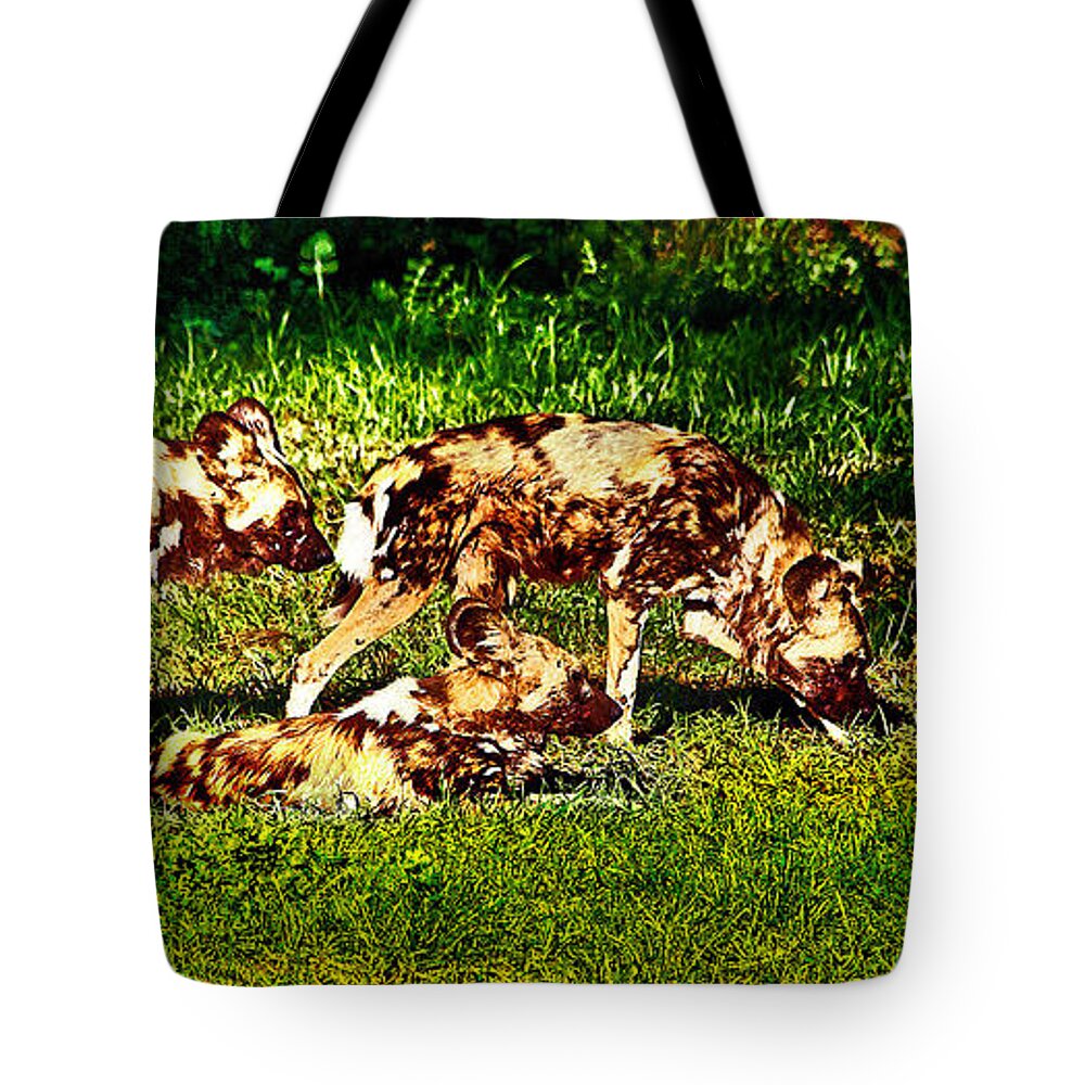 #african Wild Dog Tote Bag featuring the photograph African wild dog family by Miroslava Jurcik