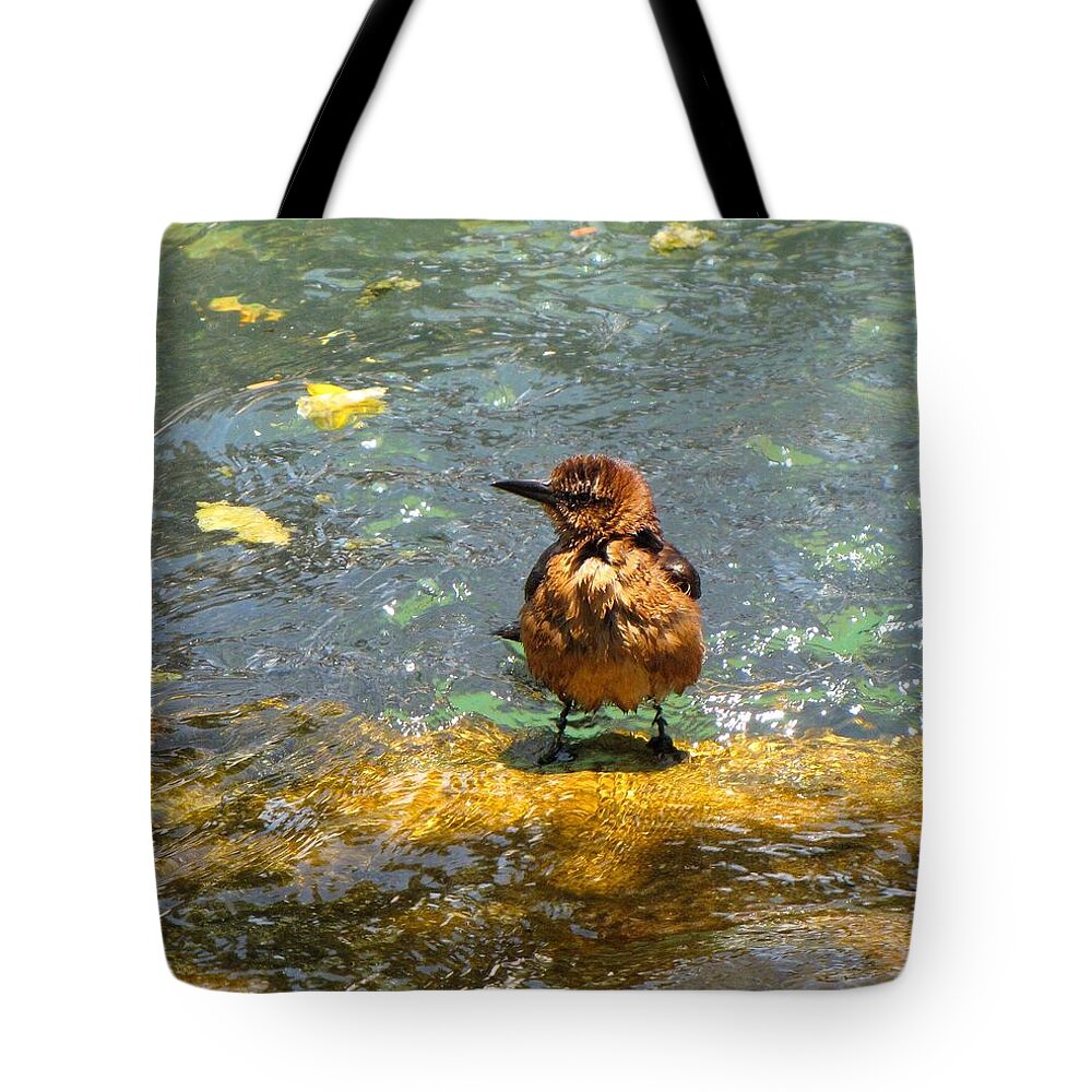 Bird Tote Bag featuring the photograph After Bath by MTBobbins Photography