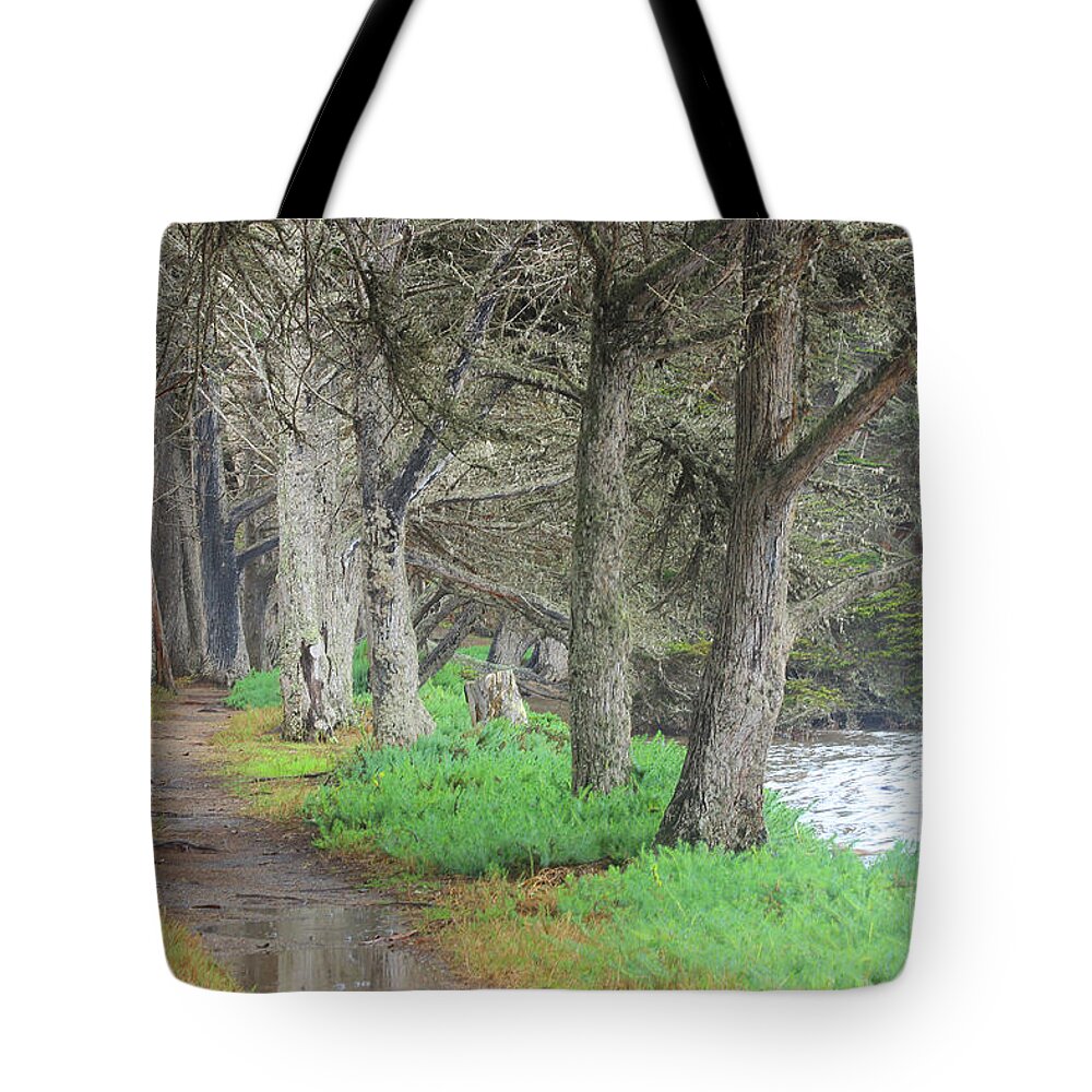Trees Tote Bag featuring the photograph After High Tide by Kris Hiemstra
