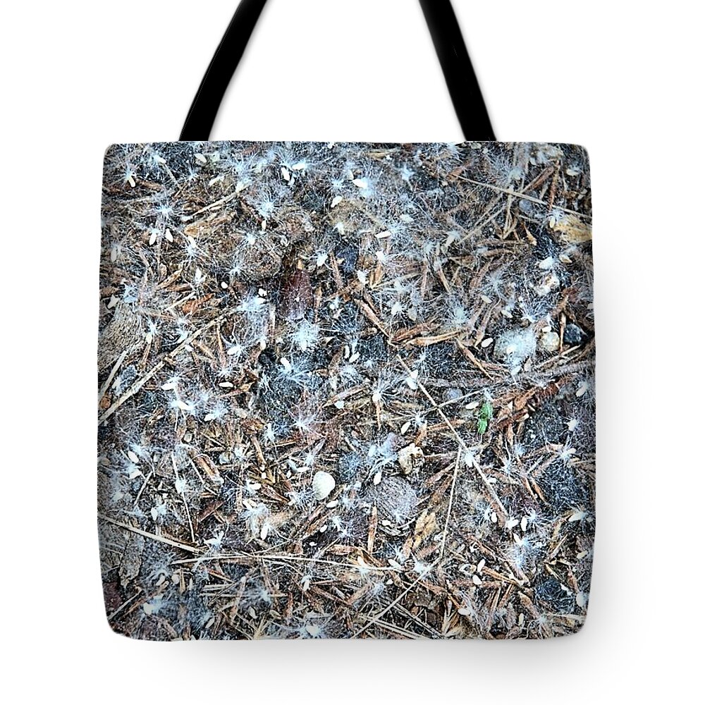 Dandelions Tote Bag featuring the photograph After Jackson Pollock by Steven Richman