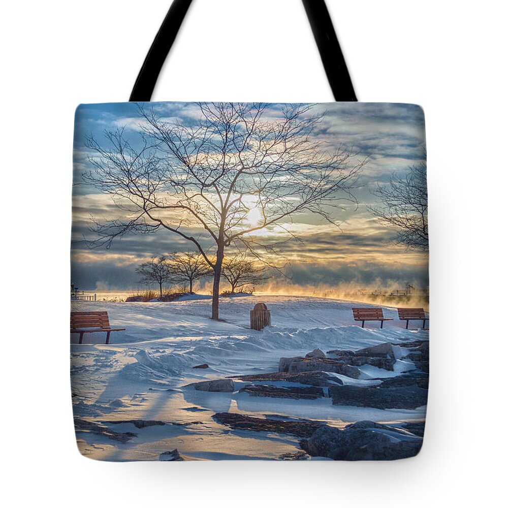 Blizzard Tote Bag featuring the photograph After the Blizzard by James Meyer