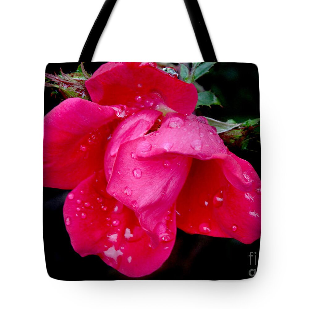 Flora Tote Bag featuring the photograph After the Rain by Mariarosa Rockefeller