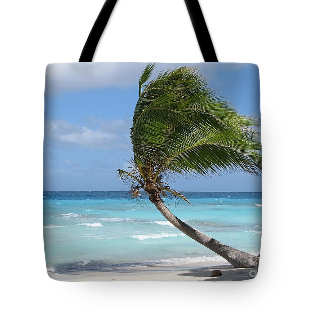 Wind Tote Bag featuring the photograph Against The Winds by Jola Martysz