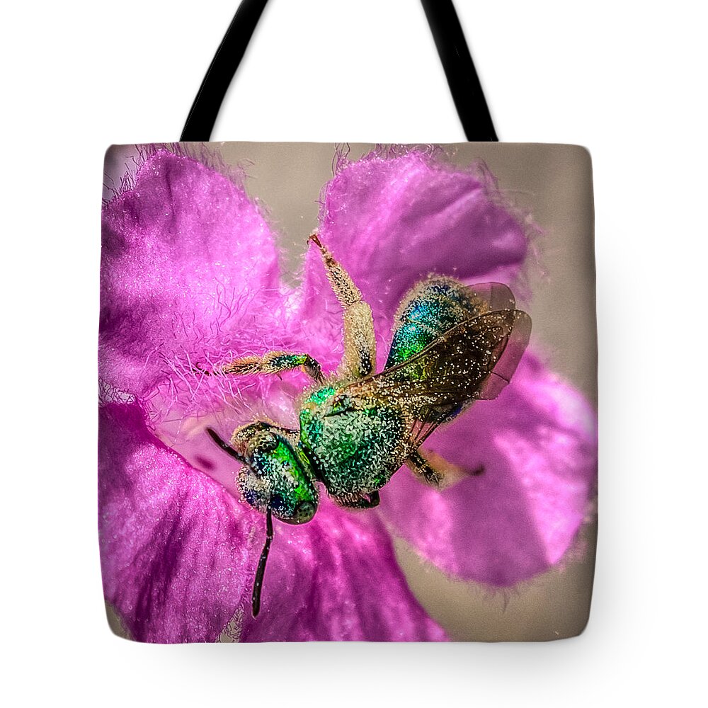 Antenna Tote Bag featuring the photograph Agapostemon texanus by Rob Sellers