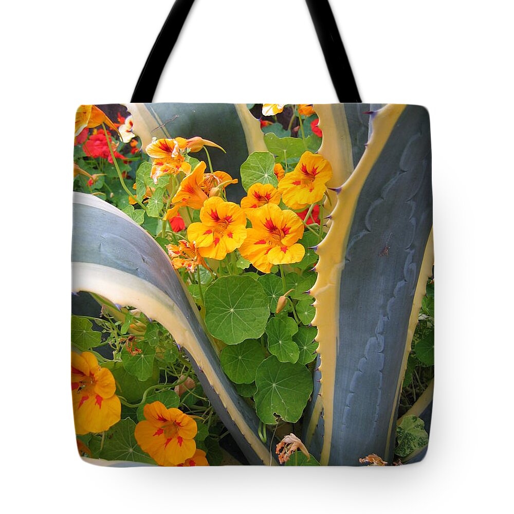 Agave Tote Bag featuring the photograph Agave and Nasturtiums by James B Toy