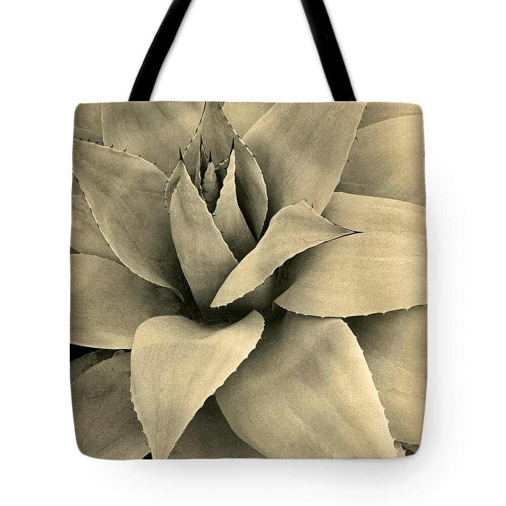 Plants Of The Southwest Tote Bag featuring the photograph Agave Detail I I by Jim Smith