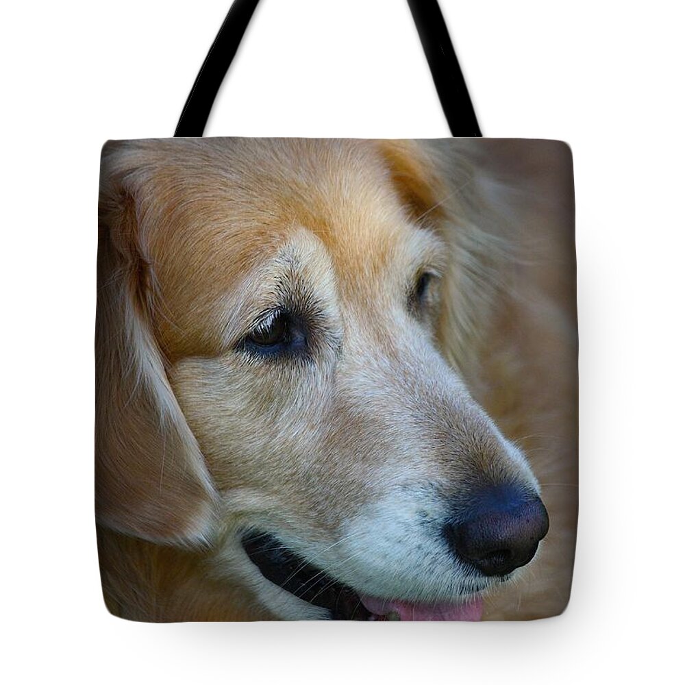 Golden Retriever Tote Bag featuring the photograph Aging Gracefully by Veronica Batterson