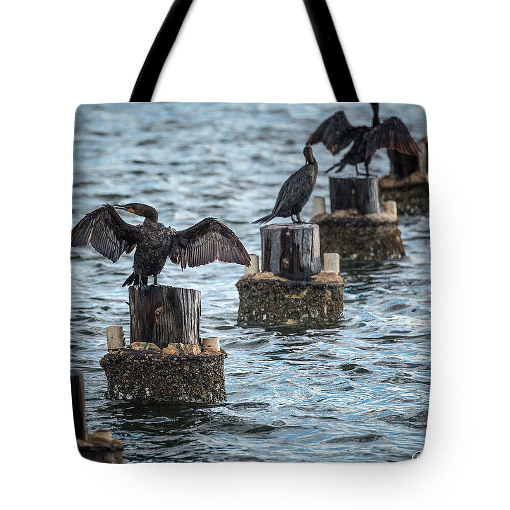 Englewood Tote Bag featuring the photograph Air Time by Joan Wallner