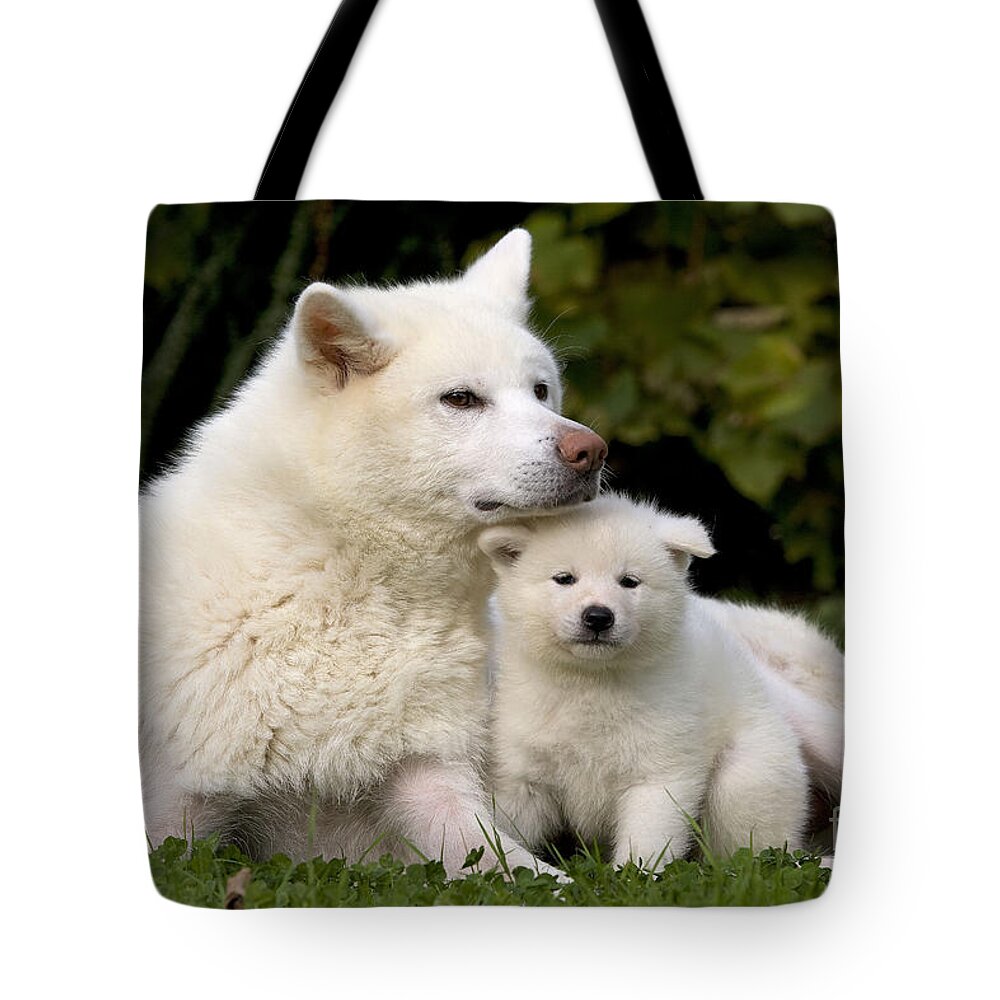Dog Tote Bag featuring the photograph Akita Inu Dog And Puppy by Jean-Michel Labat