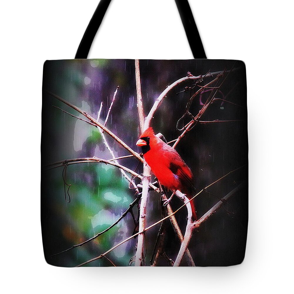 Bird Tote Bag featuring the photograph Alabama Rain - Cardinal by Travis Truelove