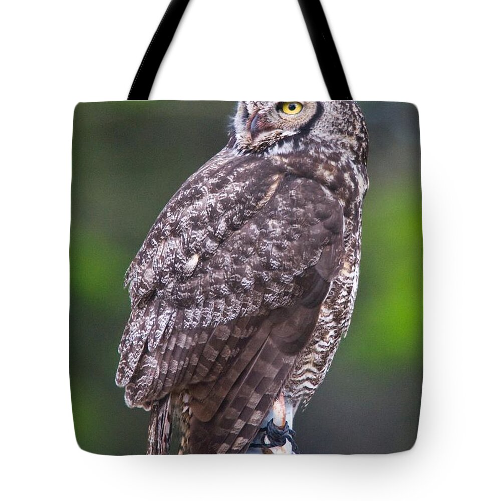 Wildlife Tote Bag featuring the digital art Alaskan Owl by National Park Service