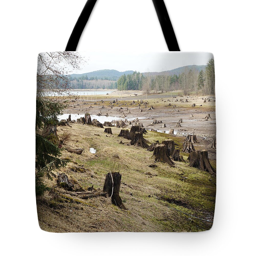 Wall Art Tote Bag featuring the photograph Alder Lake by Ron Roberts