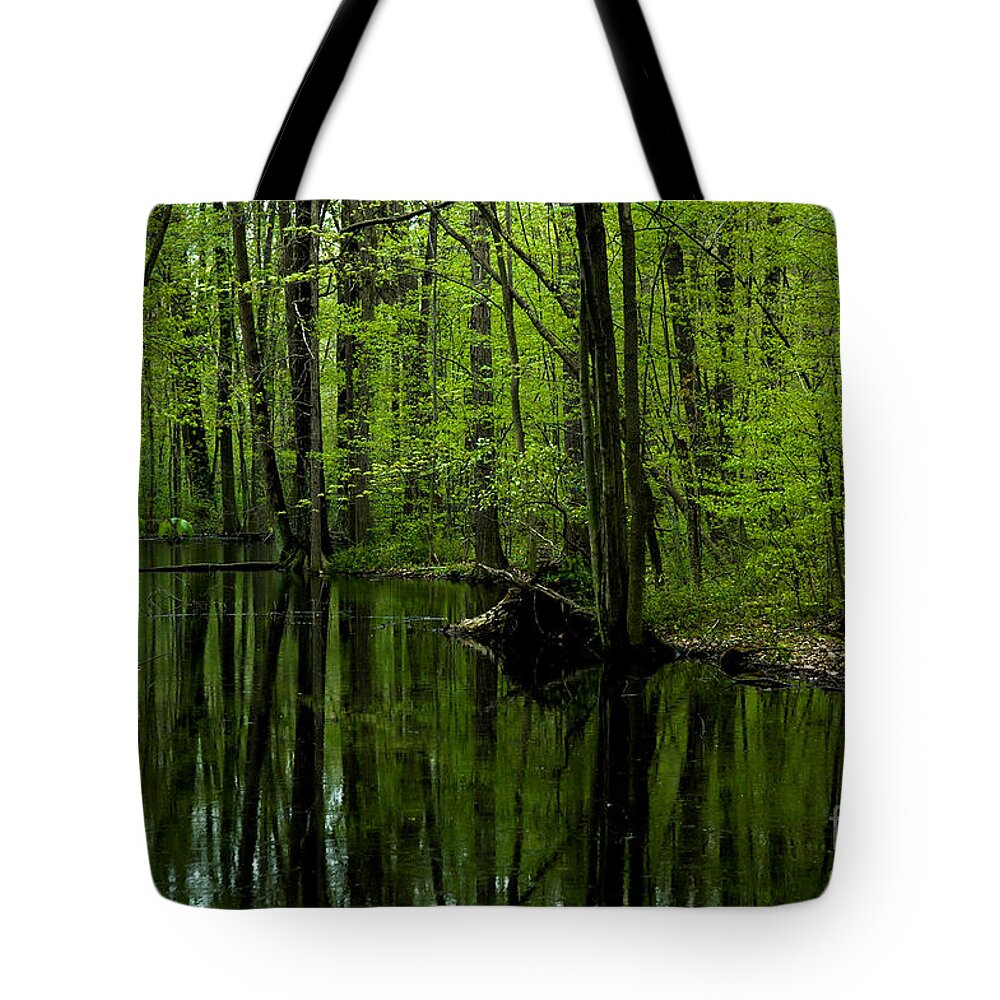 Nature Tote Bag featuring the photograph Alice W Moore Woods by Ronald Grogan